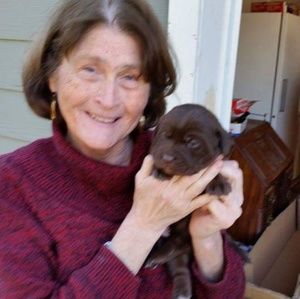 Meet your Posher, Joy